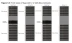 Huawei OceanStor 18810 High-End Hybrid Flash Storage Systems